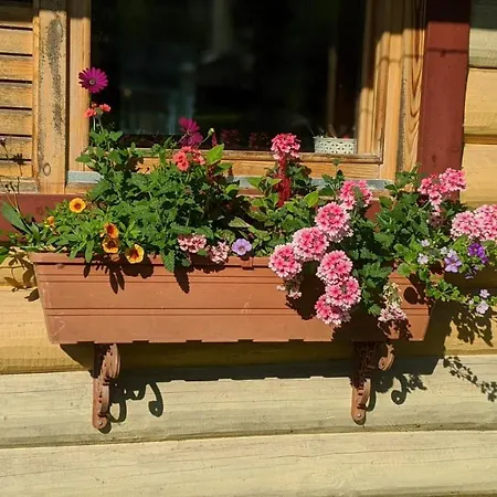 Intsikurmu Veski Saunamaja - Sauna Inclusive