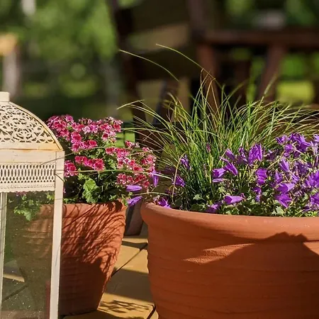 Intsikurmu Veski Saunamaja - Sauna Inclusive Сasa de vacaciones *
