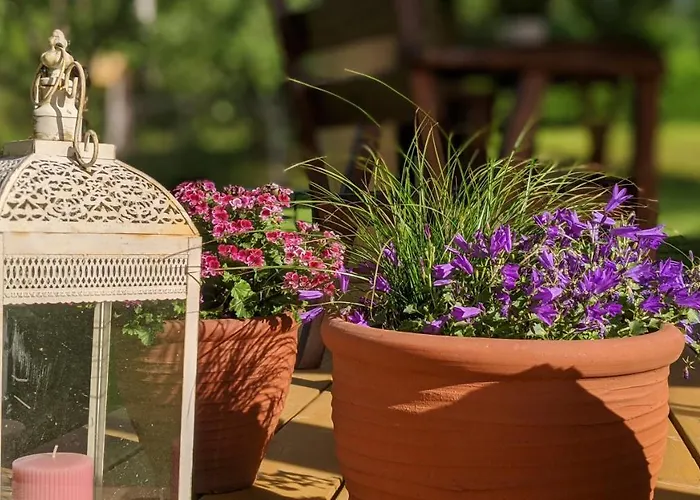 Intsikurmu Veski Saunamaja - Sauna Inclusive Casa de Férias *